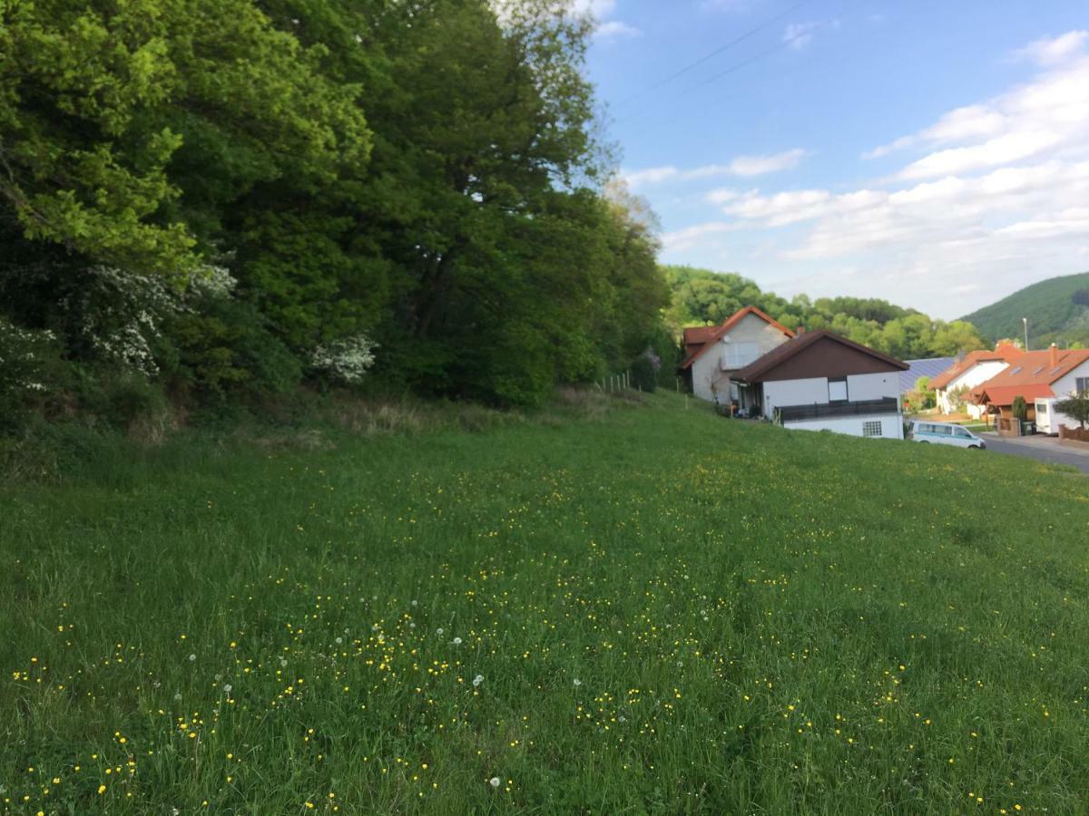 Ferienhaus Moscheltal Villa Waldgrehweiler Esterno foto