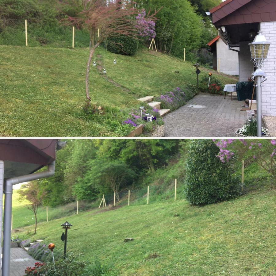 Ferienhaus Moscheltal Villa Waldgrehweiler Esterno foto
